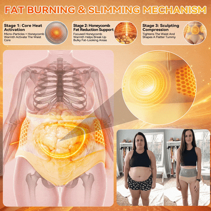 Ceruval Edge - 🛡️2026 Moringa & Berberine 4-in-1 Micro-Particle Shaping & Fat Burning Shorts
